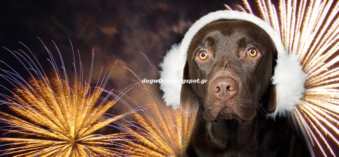 Pasxa-veggalika-skylos