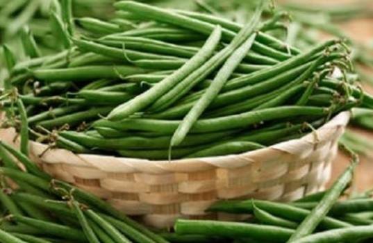 13427_10206539487745580_7917943662988766688_n