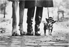 αρχείο λήψης (2)