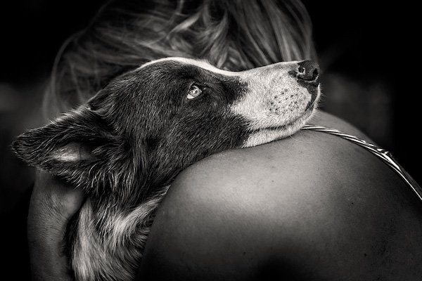 DPOTY-2014-Carlos-Aliperti