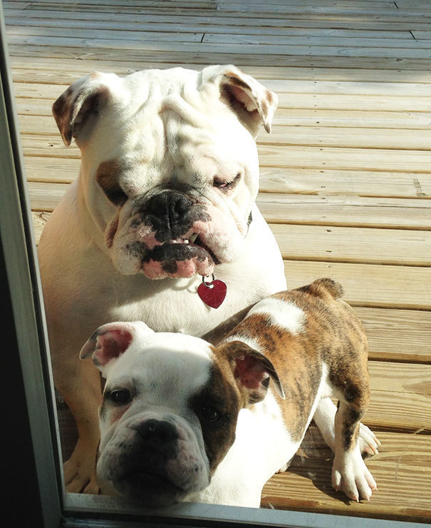 lifebuzz-37b9a46739b3ccb2dfa6bd64c55b04f0-limit_2000