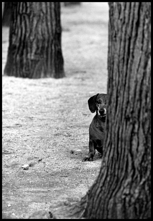 FRANCE. Paris. 1970.