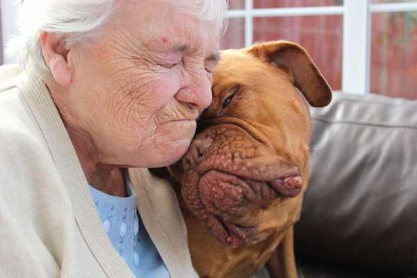 Τα σκυλιά της χρονιάς