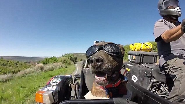 video-undefined-285F3E5000000578-506_636x358