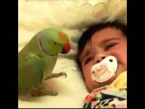 Ποιος κλαίει;