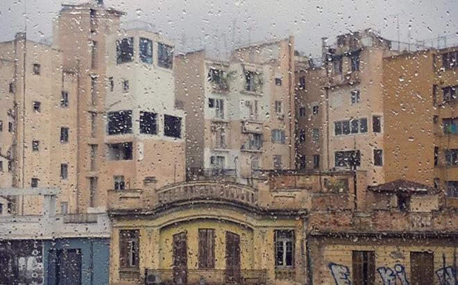 provoles1--7-thumb-large