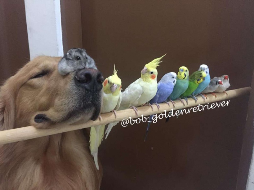 Η Συμμορία των&nbsp;10