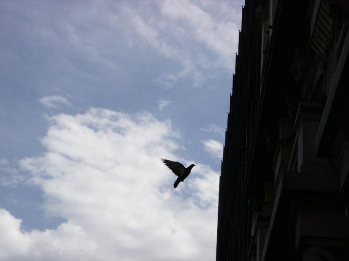 Πτήσεις εσωτερικού