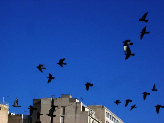 27023_1356979401261_6653650_n