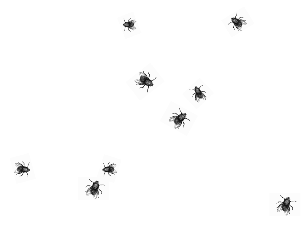 Η μετρίως έξυπνη μύγα