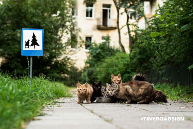 TINYROADSIGN-road-signs-for-animals2__880
