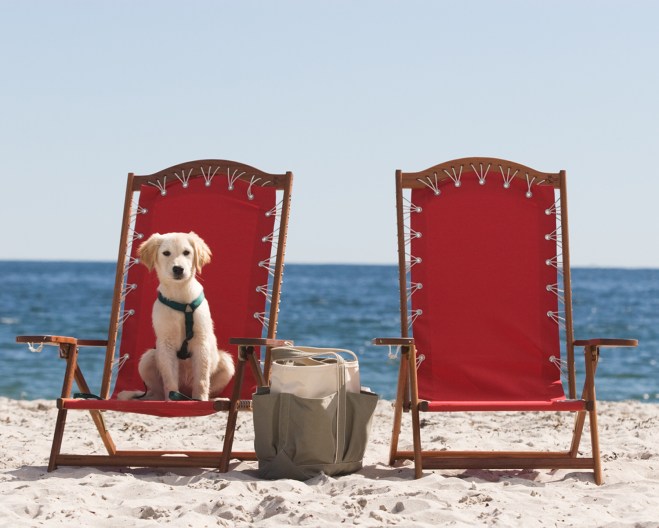 Inn-by-the-Sea-puppy-copy