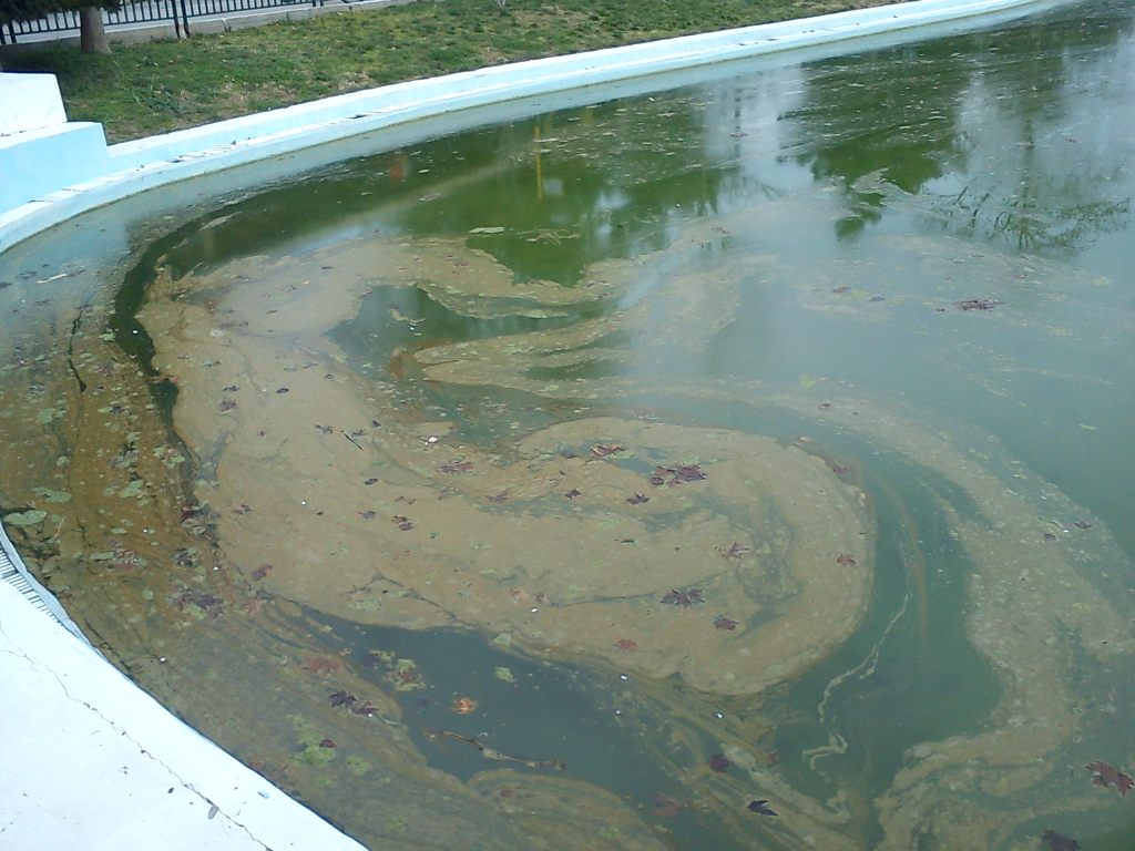 Μ’ Ένα Όνειρο Τρελό