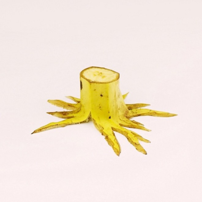 fwx-brock-davis-food-art-banana