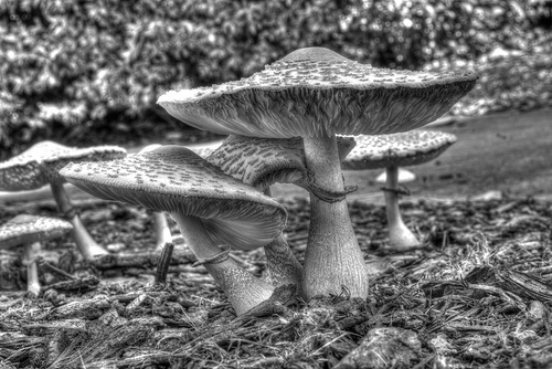 7888134598_921da5120f