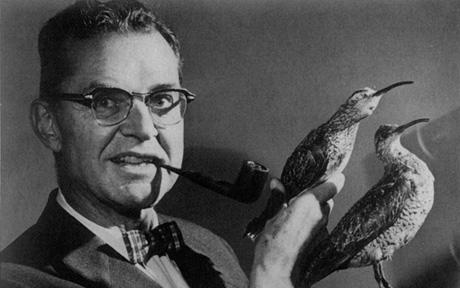 Photo David R. Contosta