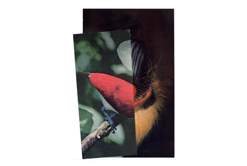 Η θεμελιώδης ανεπάρκεια της&nbsp;μετάφρασης