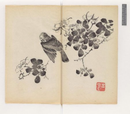 slide_445398_5915862_free