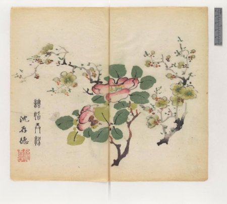 slide_445398_5915866_free