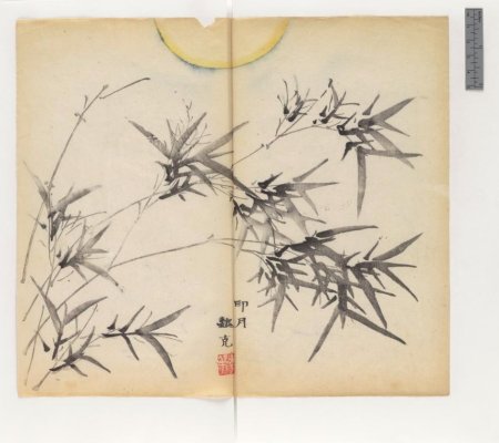 slide_445398_5915870_free