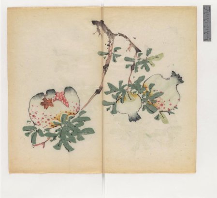 slide_445398_5915912_free