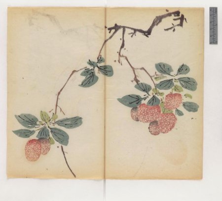 slide_445398_5915914_free