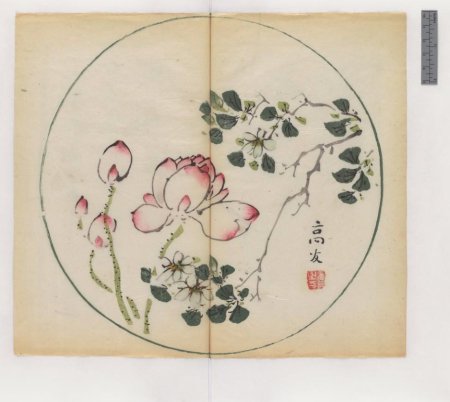 slide_445398_5915918_free