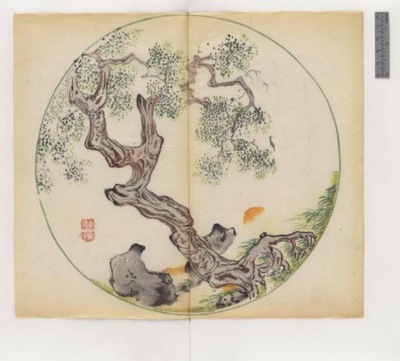 slide_445398_5915940_free