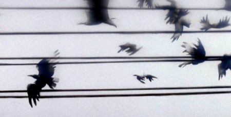 Tunning-Instruments-Jerzy-Kucia-2000-1200x630