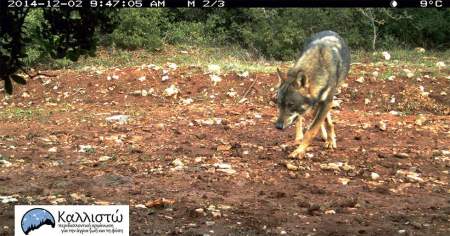 assets_LARGE_t_420_54596334