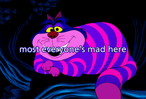 tumblr_mkc72rU9Dk1rjhbn2o1_500