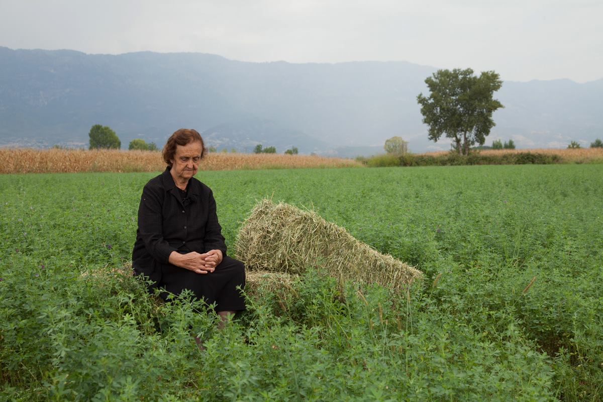 12375870_521517871348650_1079500729_o