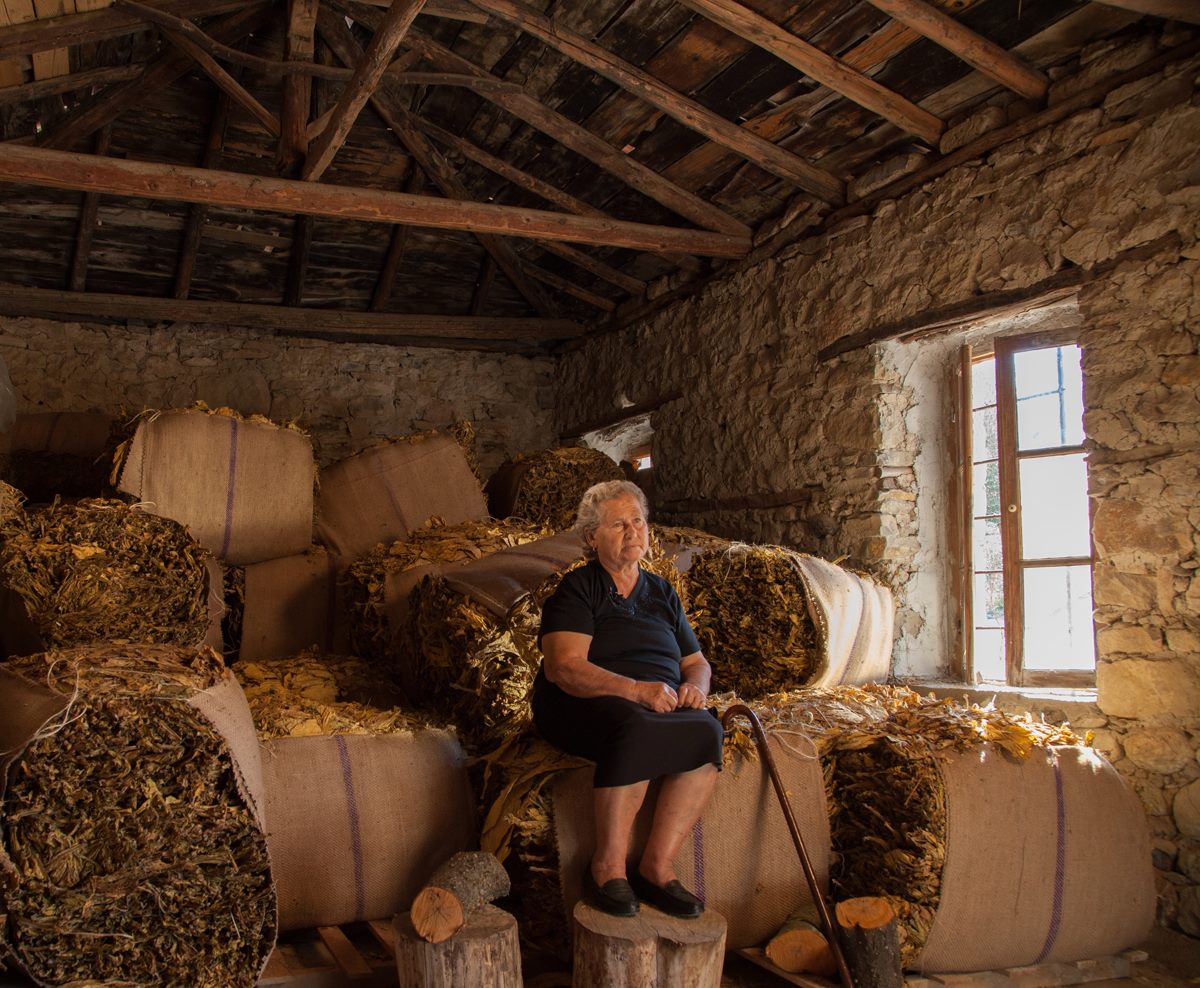 12398563_521517891348648_1669440605_o