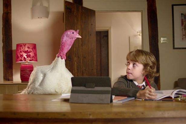 Screen-Shot-2015-11-26-at-115352