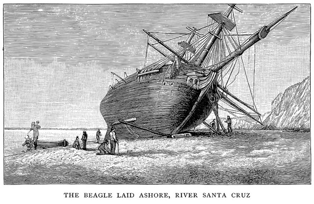 15478755063_e592d4c4f4_z-jpg