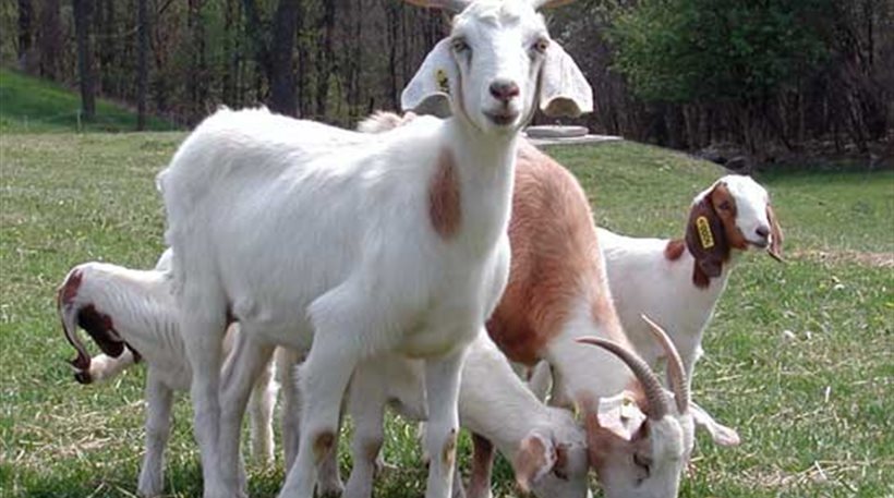 49B5199CF91326F0CDA92B048A4D516B