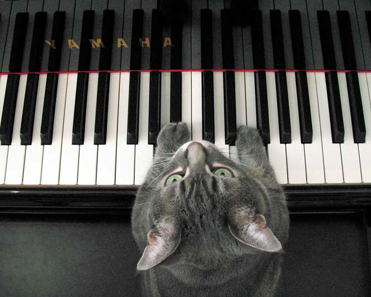 a8d748121f19a3319e4b7af4d28da101