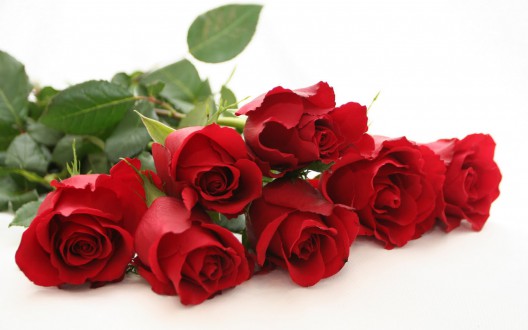 Beautiful-red-rose-wide-hd-new-wallpaper-red-rose-free-beautiful-desktop-image