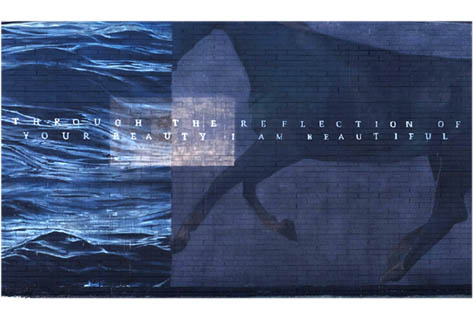 Η αντανάκλαση της ομορφιάς