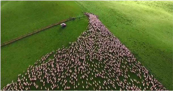 Χορογραφία σε πράσινο&nbsp;φόντο