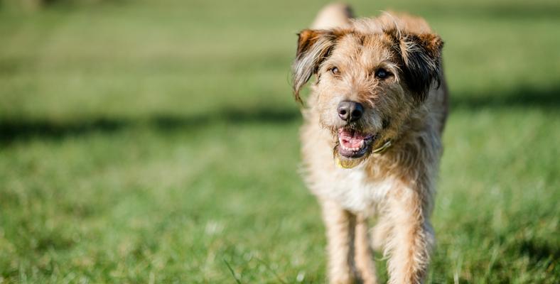 106673lrg_special-someone-5