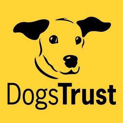 10959774_955196164493678_6634099736963080184_n