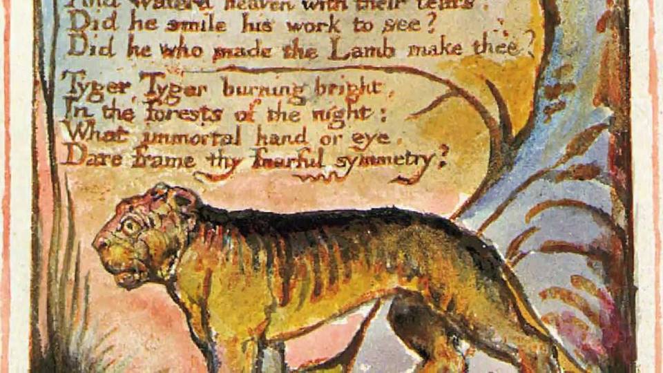 1917052_10154418573386754_990118857173589997_n