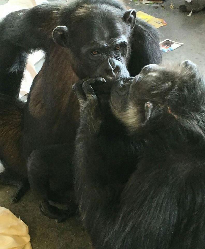 947006_10153571447369422_608091142749498958_n