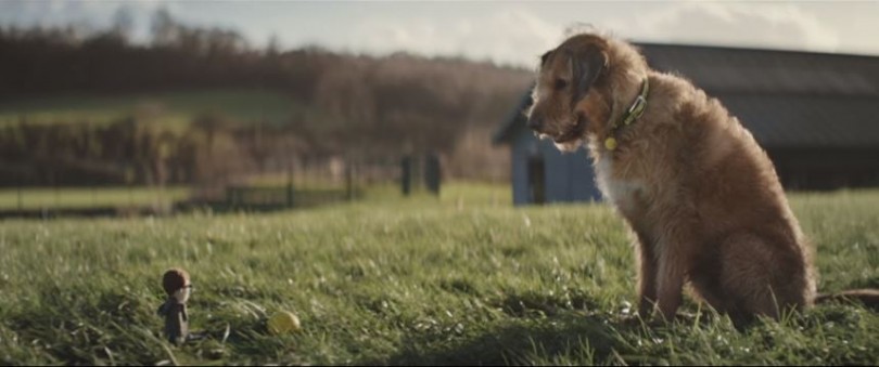 dogs-trust-810x339