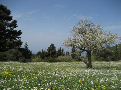 Ξανθός Απρίλης