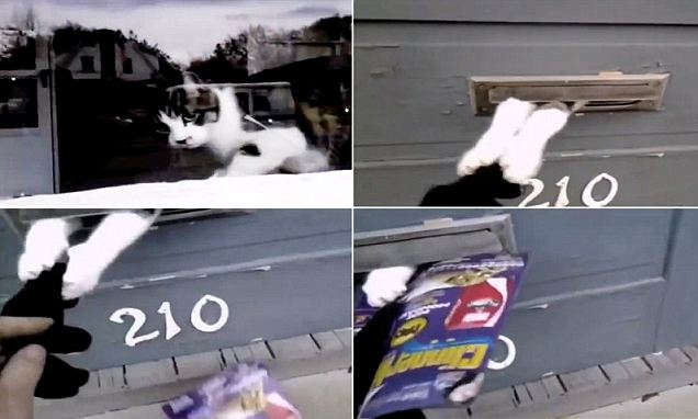 article-2548502-1B120D5D00000578-986_636x382