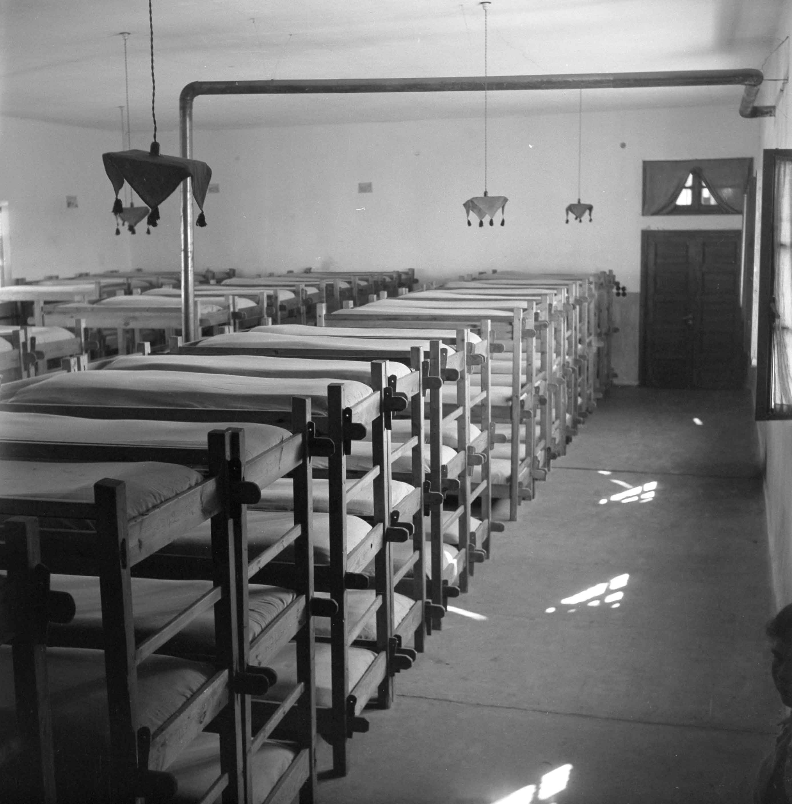 Δημήτρης Χαρισιάδης. Παιδότοποι Φρειδερίκης 02