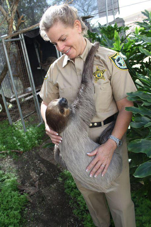 yahoo-travel-pettingzoo