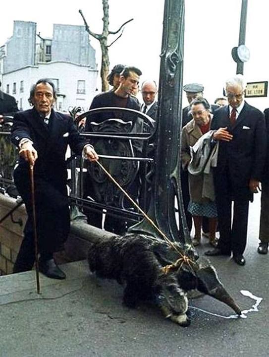 3f60eb695b7457ca0369467435c10634